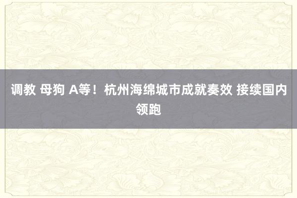 调教 母狗 A等！杭州海绵城市成就奏效 接续国内领跑