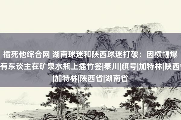 插死他综合网 湖南球迷和陕西球迷打破：因横幅爆发打破，有东谈