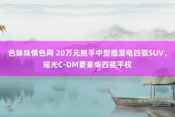 色妹妹情色网 20万元脱手中型插混电四驱SUV，瑶光C-DM